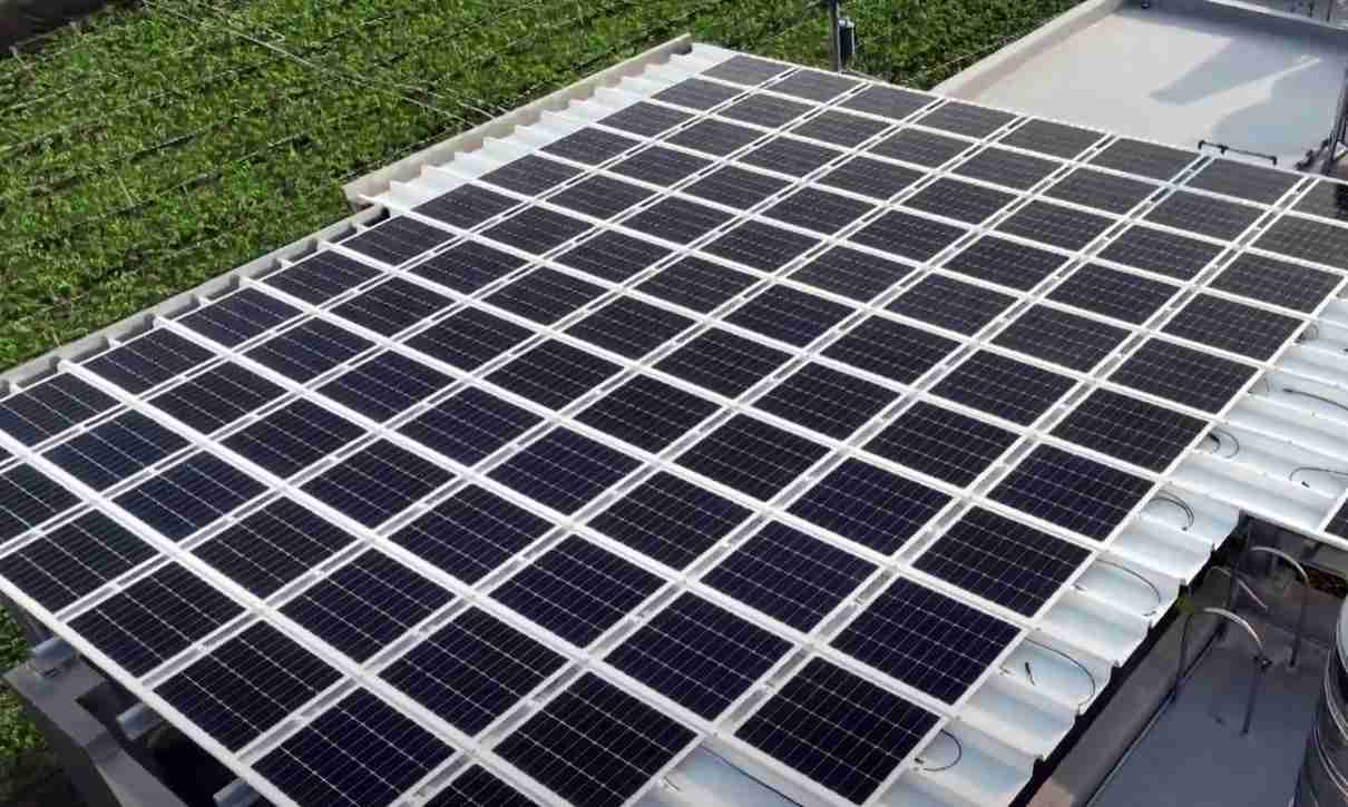 CG电子SunSteel光电浪板升级双玻结构，，以提升机械负载强度及气候耐候度，，，可广泛运用于多元场域